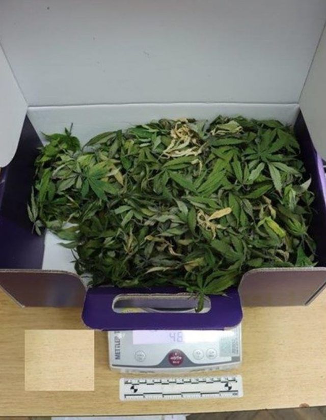 b334d875 89b1 4dbd 80a6 06249b23ce85 (1)