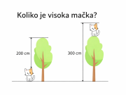 Možete li pogoditi koliko je visoka mačka? file 0000000049b87206a12bfd43532a5864