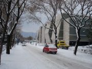 Snijeg pada u Rijeci snijeg u Rijeci (2)