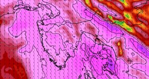 050f972e 8fbf 4217 b622 9bd1b23db8a7