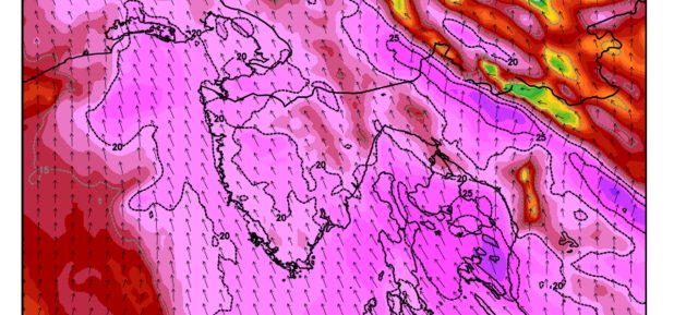 050f972e 8fbf 4217 b622 9bd1b23db8a7