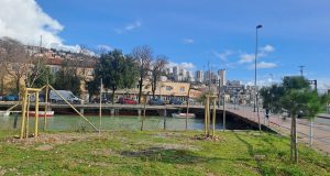 626069389 784705651341580 3010363911636931263 n