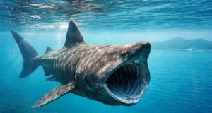 ChatGPT Image 21. velj 2026. 23 03 03