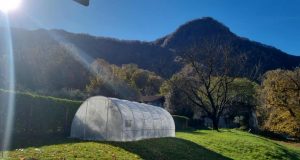 foglio per un tunnel bianco di 3x6 m garden point teli per serre 21318