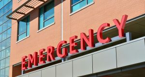 pexels pixabay 263402 (2)