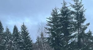 0e75f3cb 4697 4b45 881b 7e80eef2e379 (1)