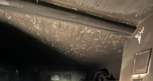 647740632 909307788516520 5027766977171749847 n