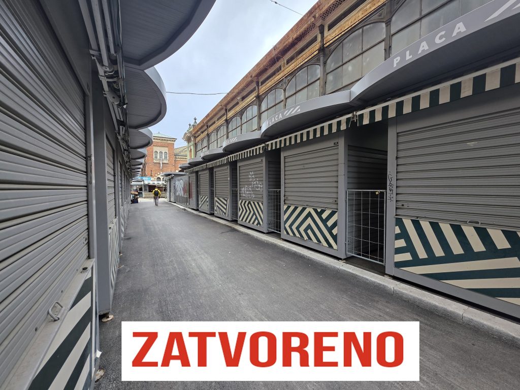 648394739 10239078175149452 1043315606544761628 n