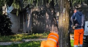 652533227 1359197096252178 1152577513562015346 n