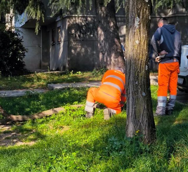 652533227 1359197096252178 1152577513562015346 n