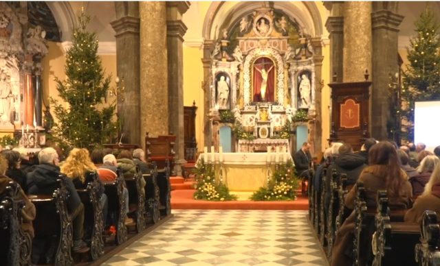 Katedrala Sv. Vida