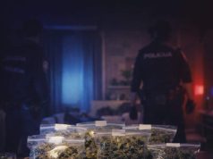 30461ccc 4a0a 435f 87e6 a157b62799f6