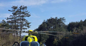 315280ca 404f 46eb b8d3 00b77fb9ea2a