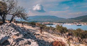 342212003 941087497142220 2102426460058201562 n