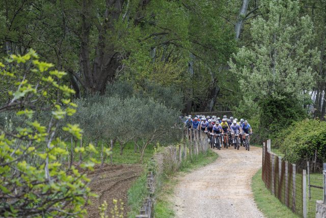 4E26 S2 SamClark 520A9298 4E26 S2 SamClark 520A9298