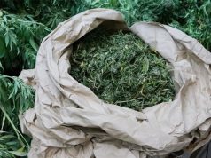 Marihuana