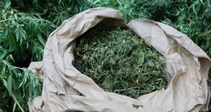 Marihuana
