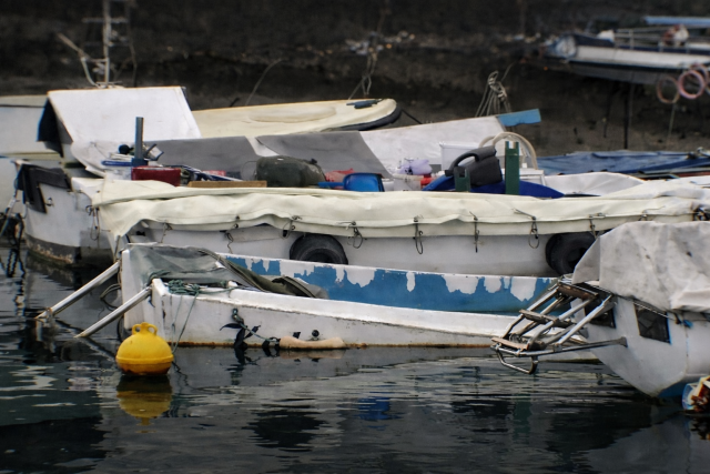 Napuštena plovila u mirnoj luci Napuštena plovila u mirnoj luci