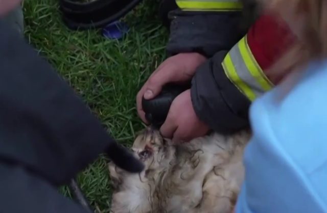 Video screenshot Video screenshot