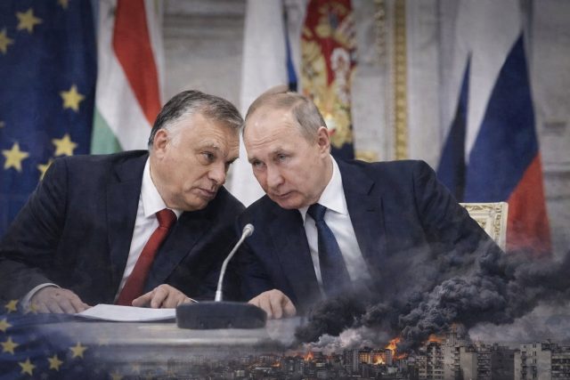 b13d8f60 393c 476f a415 13474b4d19aa b13d8f60 393c 476f a415 13474b4d19aa