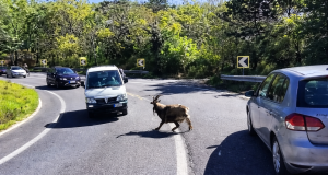 file 000000009e2c7243a84b6148bbb5fff1