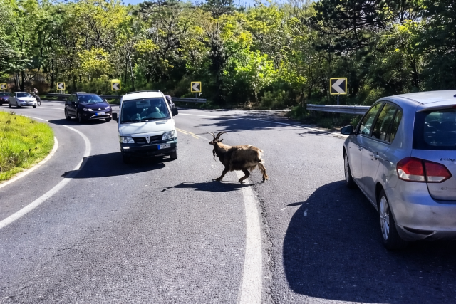 file 000000009e2c7243a84b6148bbb5fff1