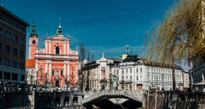 pexels aleksandar069 11487778