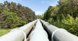 pexels wolfgang weiser 467045605 23878948